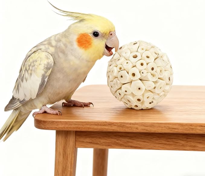 Bird Toys (6Pcs) - Chew Grass Balls, Cage Enrichment | Chewing and Shredding Parrot Toys | Ideal for Parakeets/Cockatiels/Conures/Lovebirds and Small to Medium Birds