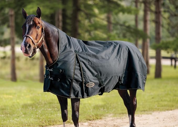 Country Pride Paladin 1200D High Neck Heavyweight Turnout Blanket (88)