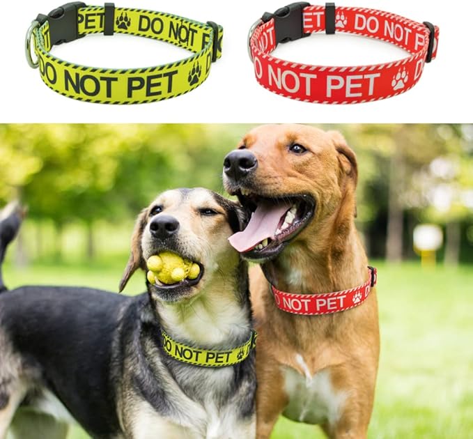 Dog Collar for DO NOT PET, Sturdy Durable with Buckle, Red Dog Collars for Small Medium Large Dogs, Premium Adjustable Polyester Pet Collar