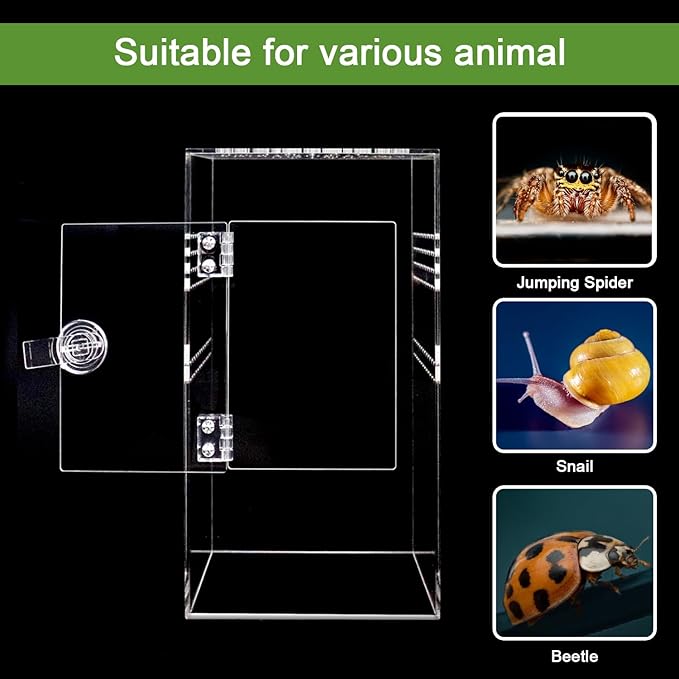 NANEEZOO Jumping Spider Enclosure with Front Opening Door, 6"x6"x12" Reptile Breeding Box Micro Habitat Terrarium for Small Tree Dwelling Reptiles, Spiders, Mantis & Invertebrates
