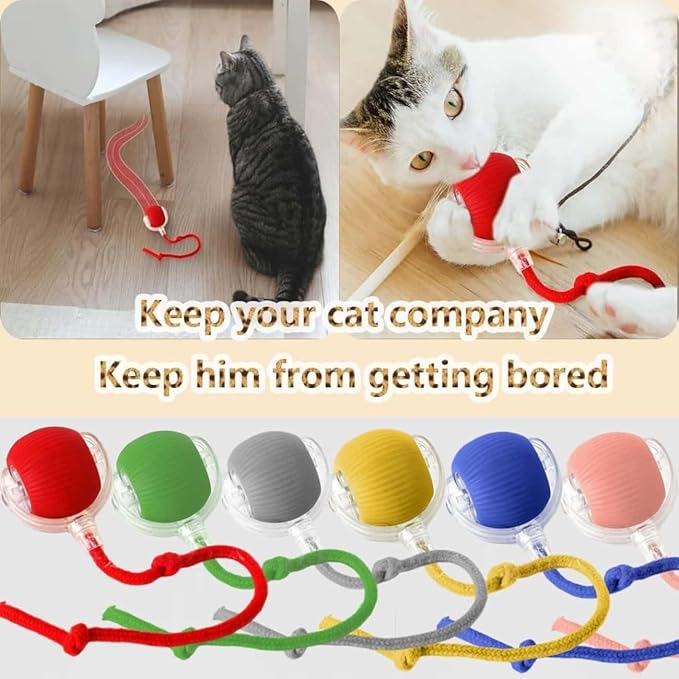 Interactive Cat Toys for Indoor Cats, Agility Move Cat Balls,Motion Activated Cat Balls, Cat Toys for Bored Indoor Cats（Green）