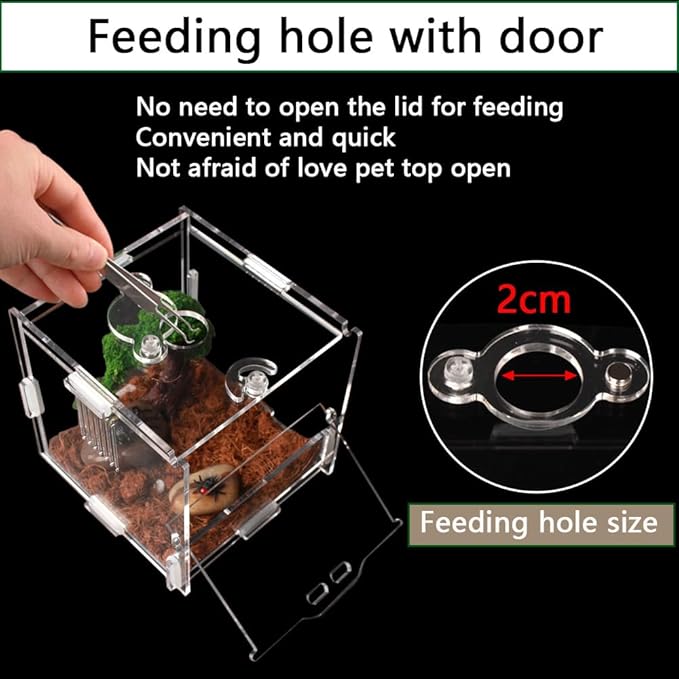 Acrylic Jumping Spider Enclosure, Small Reptile Terrarium Habitat for Tarantula Snail Insect Small Reptile (4.5x4.3x4.1inch)