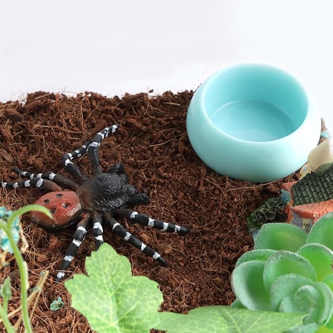 3 Pcs Worm Dish Reptile Food Bowl Tarantula Water Bowl for Spider Tarantula Gecko Lizard Small Reptile