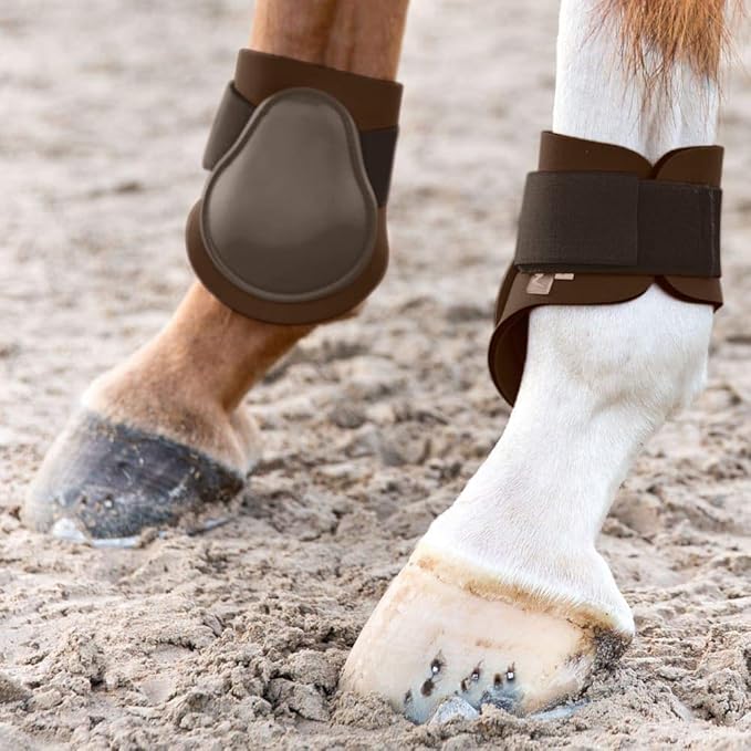 HORZE Chicago Fetlock Rear Boots | Lightweight, Adjustable, Jumping Horse Boots (Pair) - Chocolate Brown - Cob