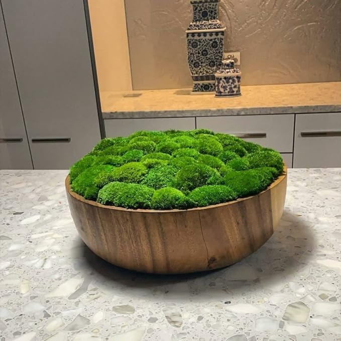 Preserved Pole Moss Pillow Bun Cushion Natural Green Decorative Real Natural Green DIY Kit Terrariums Gardenning Art Wall Decor Florist Decor Easter Table Decor Wedding(4.5 sq.ft., Green-B)