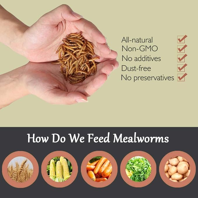 Non-GMO Dried Mealworms,5LB 100% Natural Large Size No Moisture,Treats for Birds Chickens Hedgehog Hamster Fish Reptile Turtles (Wrong Packing Label Used)