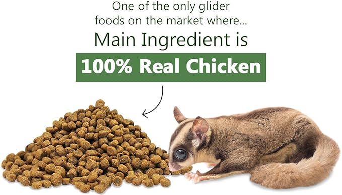 Glider Essential 1.75 lb | Coconut Flavor | Zero Fillers…