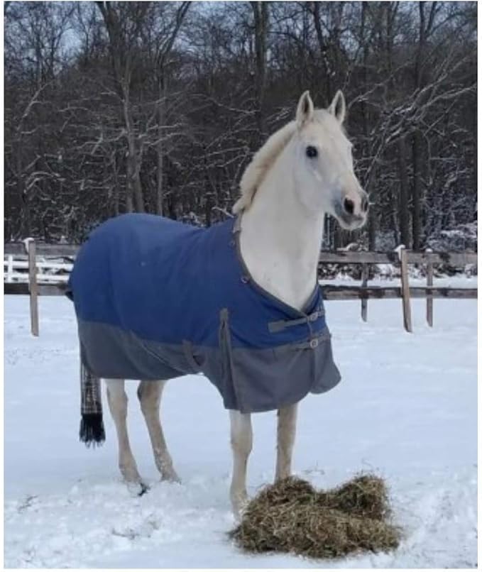 STORM SHIELD Contour Collar Classic II Horse Turnout Blanket | Bellyband Closure | Horse Blankets for Winter Waterproof | Weather Protection | Winter Horse Blanket