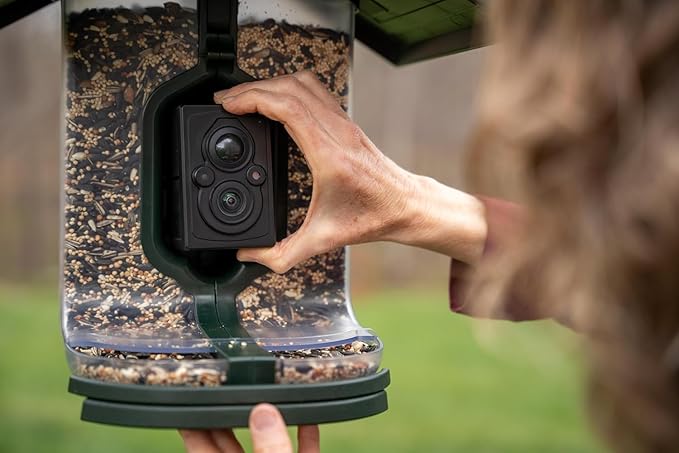 Smart Bird Feeder with AI Identification & HD Camera – Solar-Powered Wi-Fi Feeder Sends Photos & Videos to Your Phone – Includes Pole Mount, Bird Seed, 32GB SD Card, & Cleaning Cloth
