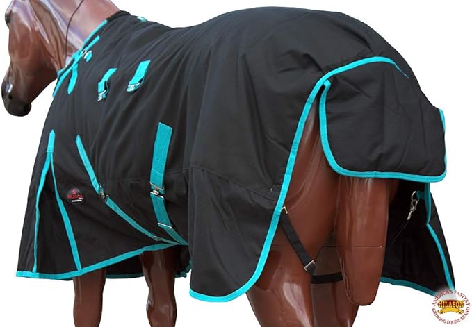 HILASON Black with Turquoise Trims 74 inch 1200D Winter Waterproof Poly Horse Turnout Blanket Belly Wrap