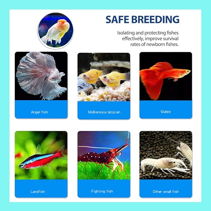 Hamiledyi Acrylic Breeding Isolation Box - Transparent Aquarium Hatchery for Guppy/Shrimp/Small Fish, Safe Nursery Tank with Air Tube & Suction Cups(7.8" × 3.9" × 3.9")