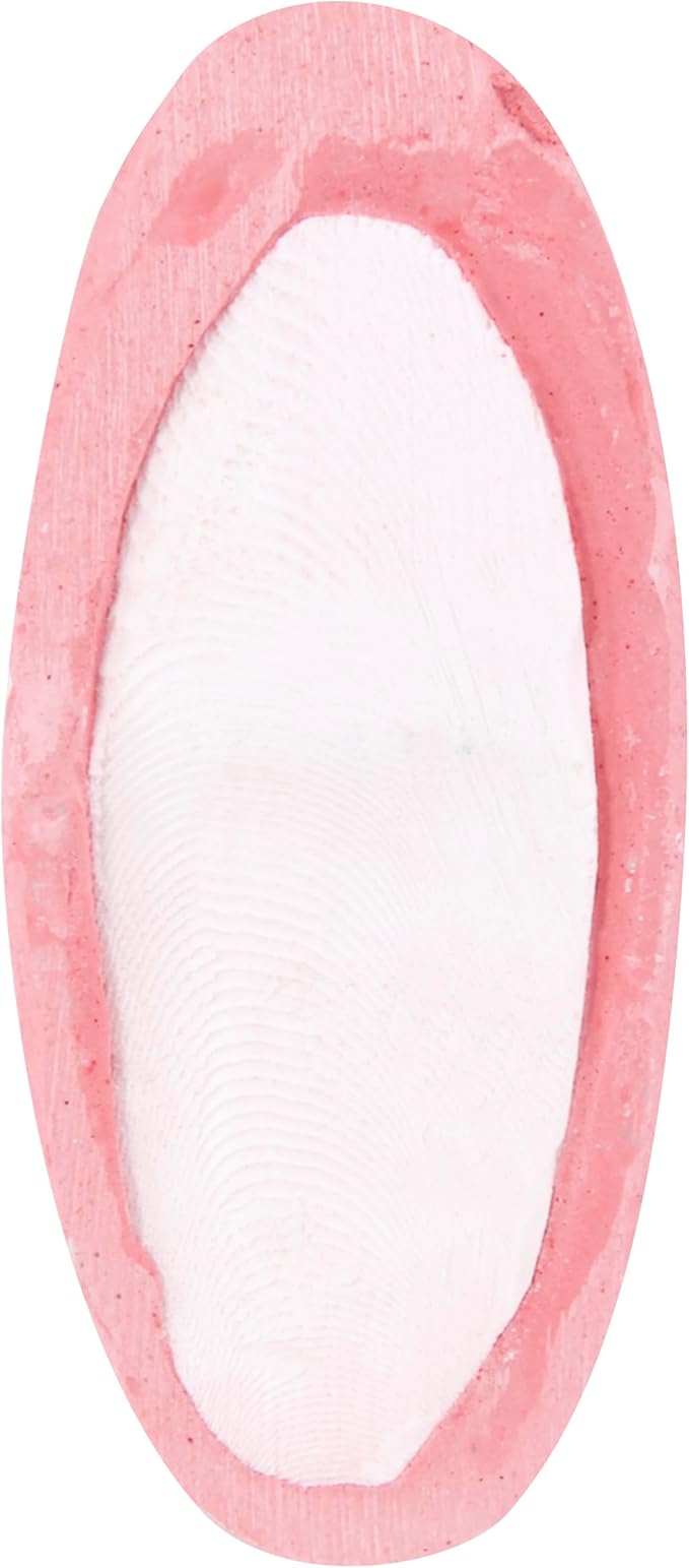 Penn-Plax Bird-Life 2-in-1 E-Cuttlebone & Mineral Block – Berry Flavor – Great for All Birds – 1 Pack