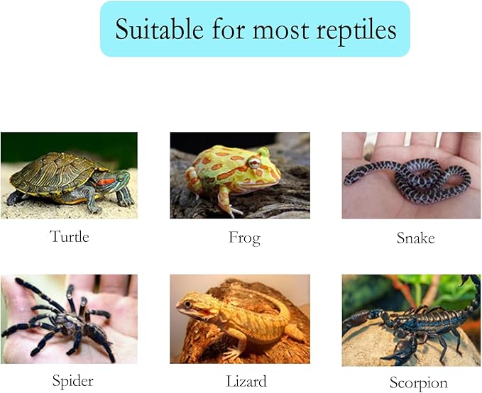 Reptile Water and Food Bowl, Natural Tree Bark Design, Round Shallow Dish, Terrarium Feeding Dish for Lizards, Snakes, Amphibians (Large)