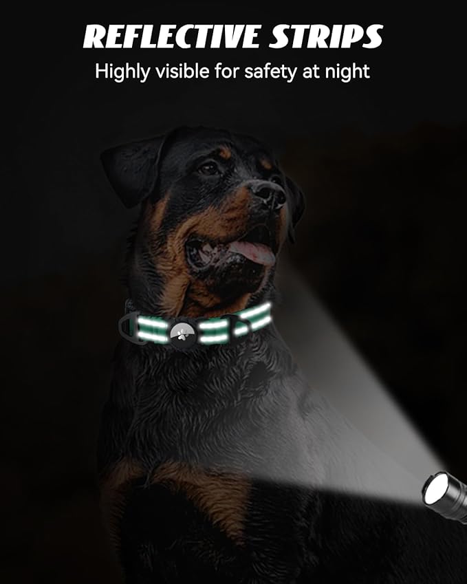 Joytale Airtag Dog Collar, Reflective Pet Collar with Waterproof AirTag Holder, Dual D-Rings, Soft Padded Adjustable for Medium Dogs, Teal, M