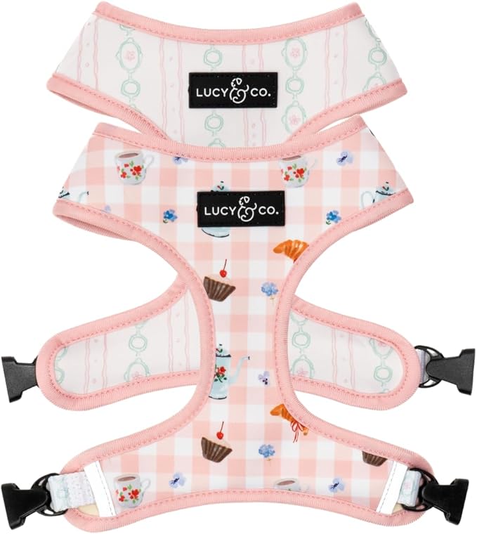 Lucy & Co. Sipping Slowly Reversible Dog Harness, Adjustable Comfort Fit with Dual Leash Attachments, Large