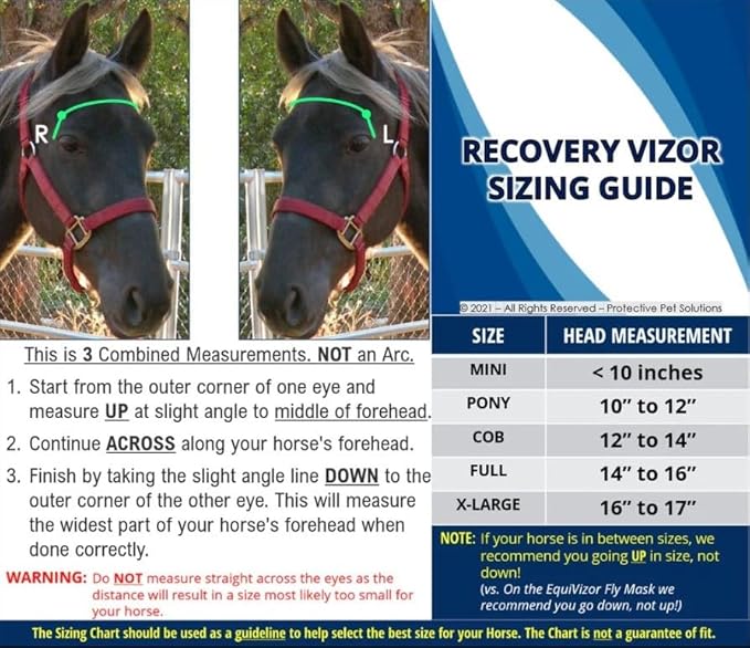 Recovery Vizor, (Size Full - Clear UV Tint) Medical and Preventative Horse Eye (Goggle) Protection Mask for Uveitis, Injury, Scratch or Corneal Infection, Blindness.