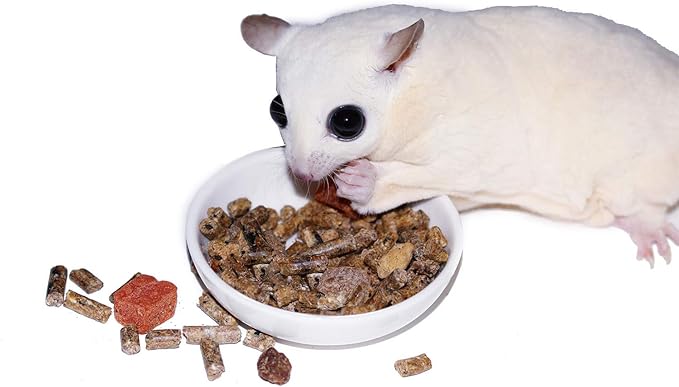 Exotic Nutrition Glider Complete 5 lb | Natural Fruit Bits | Sugar Glider Food