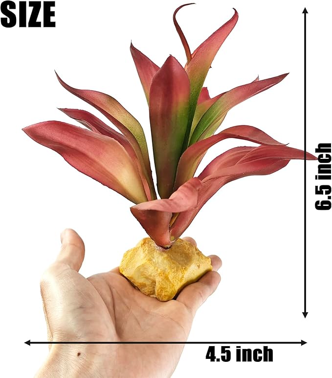 Woyrise Reptile Plants Succulent, Artificial Desert Plant for Terrarium Decor, Bearded Dragon Tank Accessories fit Gecko Lizard Chameleon Ball Python Snake - Guzmania lingulata