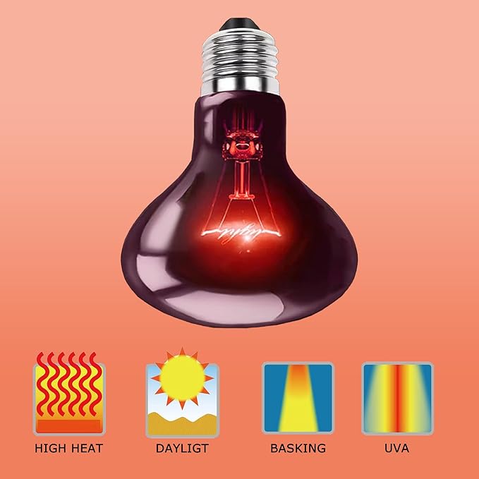 60W Infrared Red Heat Lamp – Basking Spot Bulb for Reptiles, Bearded Dragons, Chameleons, Snakes & Lizards; Ideal Red Heat Emitter for Chickens Coop and Brooder Use, E26 Base | 2 Pack