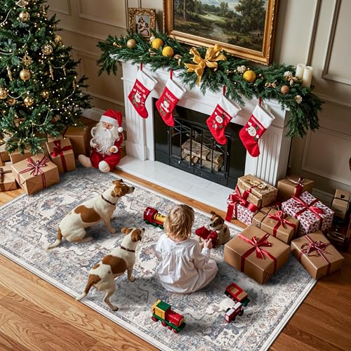 Washable 3x7 Hallway Runner Rug (21 Sq Ft)