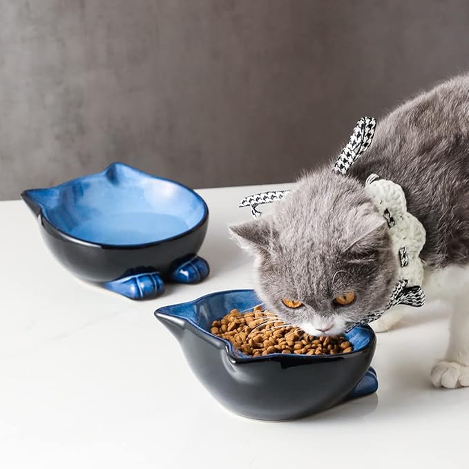Nihow Ceramic Basic Cat Bowls: 6.25 Inch Cat Bowl for Food & Water - Food Grade Cat Dish for Large-Sized Cat/Medium-Sized Dog - Microwave & Dishwasher Safe -Elegant Blue & Black (8.5 OZ /1 PC)