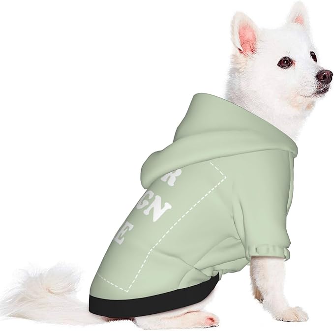 Personalized Chihuahua Dog Hoodie, Custom Pet Warm Sweatshirt Costume with Name Number Photo, Customize ID Clothes for Pupppy Kitten Dogs Cats, LightGreen, M