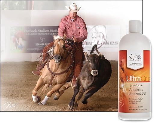 UltraCruz® Veterinary Liniment Gel for Horses, 32 oz