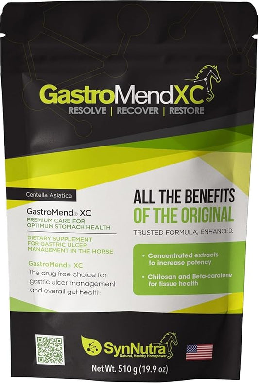 GastroMend XC, 100% Natural Equine Stomach Health for Horses, Promotes Healing & Prevention of Gastric Ulcers, Highly Potent & Effective, Supports Gastric and Hindgut Health, 30 Servings, Made in USA