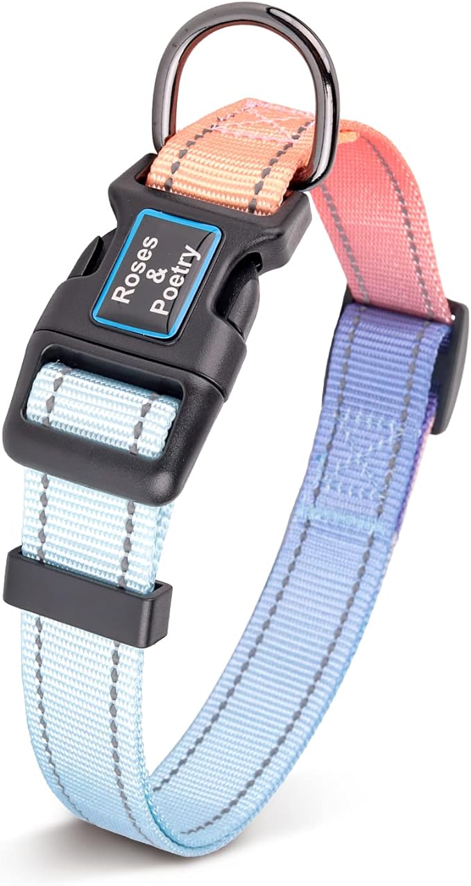 Roses&Poetry Reflective Dog Collar with Gradient Azure, Adjustable Durable Pet Collars for Small Medium Large Dogs (Azure-L)