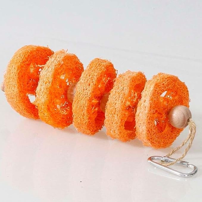 2PCS Fruit Flavor Loofah Chew Toys Guinea Pig Chew Toys for Teeth Rabbit Toys Guinea Pig Toys (Orange)