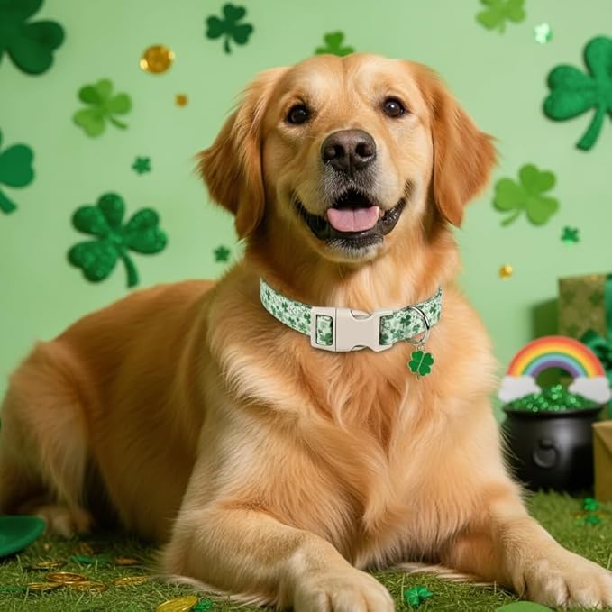 Dog Collars for Medium Dogs, Green Dog Collar for St. Patrick's Day with Green Clover Pattern, Medium Girl Boy Pet Collar with Spring Summer Design, M