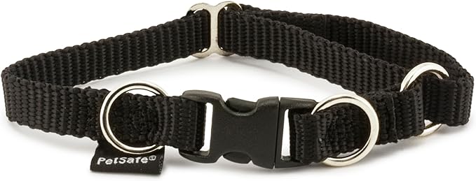 PetSafe KeepSafe Break-Away Safety Collar - Protects Dogs from Collar Accidents - Patented Break-Away Buckle - Durable Adjustable Design - Soft Nylon