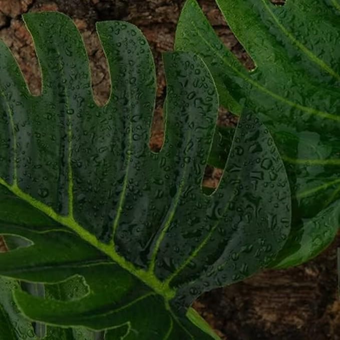Reptile Terrarium Decor Plants,Amphibian Habitat Decor,Artificial Plants for Tank Accessories,Fake Monstera for Crested Gecko Leopard Lizard Chameleon Ball Python Snake Frog