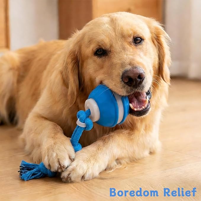 Interactive Dog Toys ，2026 upgraded motion-sensing pet toy ball, interactive dog toy ball with 360° intelligent automatic rolling. Built-in bird chirping attract dogs and keep them playing (blue)