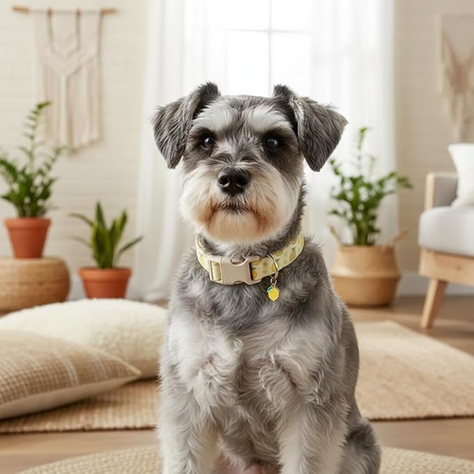 Dog Collar, Spring Summer Dog Collar with Yellow Lemon and Cute Charm, Pet Collar with Quick Release Buckle and Durable Fabric, Suitable for Medium Dogs