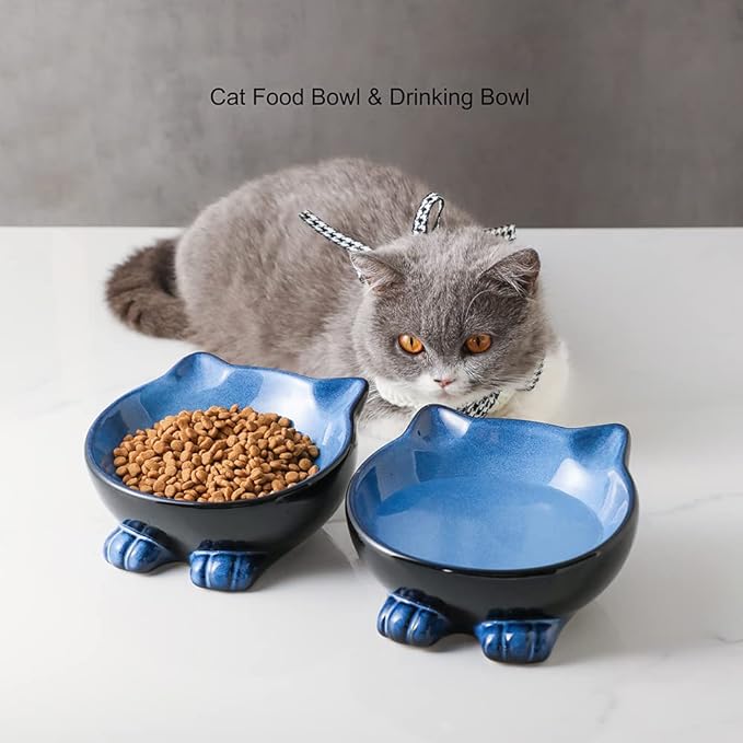 Nihow Ceramic Basic Cat Bowls: 6.25 Inch Cat Bowl for Food & Water - Food Grade Cat Dish for Large-Sized Cat/Medium-Sized Dog - Microwave & Dishwasher Safe -Elegant Blue & Black (8.5 OZ /1 PC)