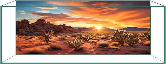 Aquarium Background & Terrarium Background – Ultra HD Static Cling, Tape-Free, Desert Sunset Design for Reptile Tank Decorations, Perfect for Bearded Dragon and Leopard Gecko Tanks 11.8 X 23.6 Inches