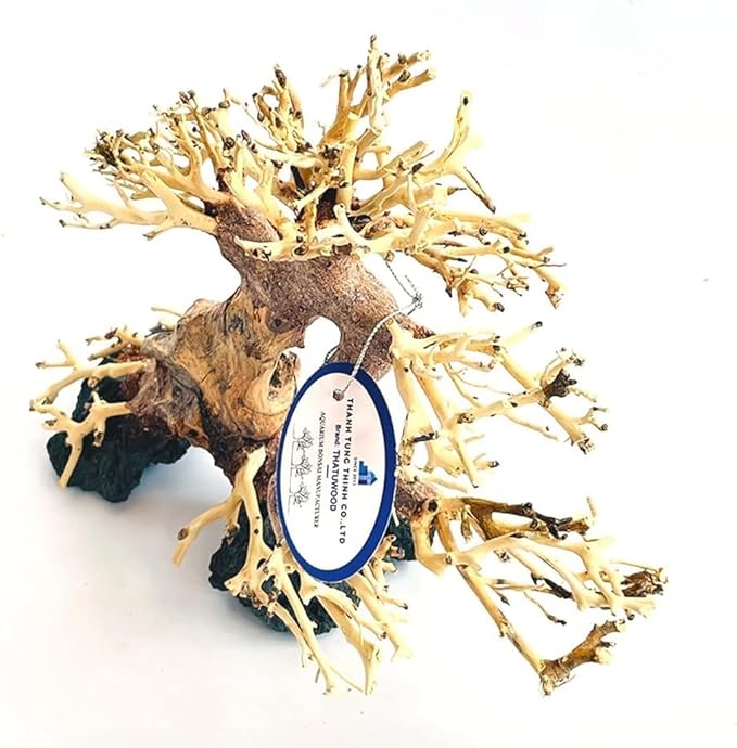 Bonsai Driftwood Aquarium Tree (8in H x 6in L), Handcrafted Fish Tank Decoration | Easy to Install Driftwood Bonsai for Fish Tank | Decor Aquascape Wood (Bonsai Tree On Rocks)