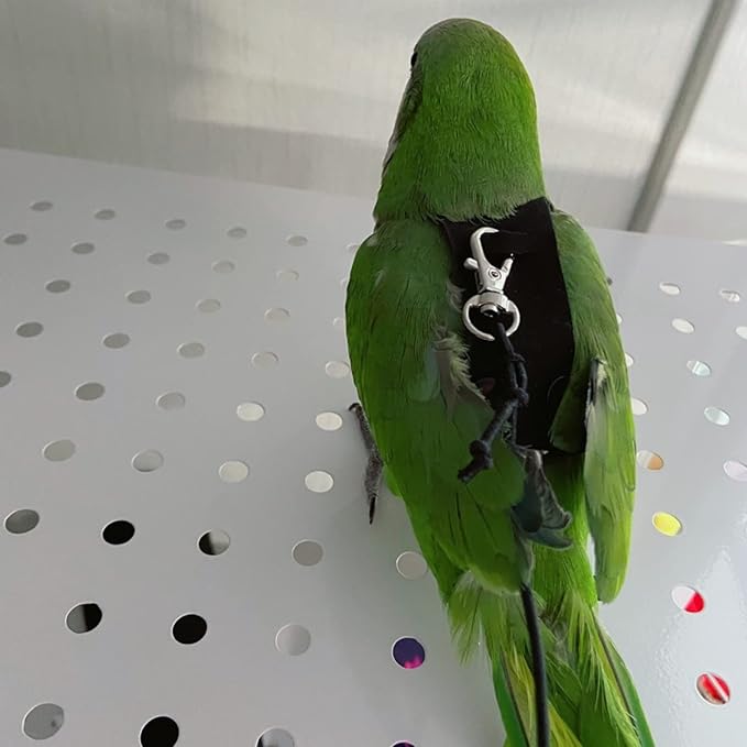 Bird Flight Harness Vest, Parrot Flight Suit with Leash for Parakeets Cockatiels Conures Budgies, Bird Flying Clothes with Rope and Handle for Outdoor Activities Training, Anti Bite (Medium)
