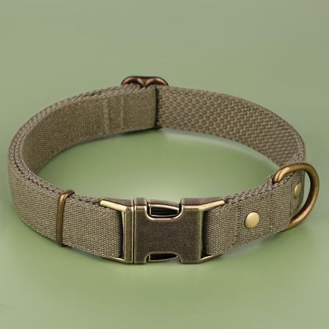 PET ARTIST Dog Collars for Medium Dogs, Soft Padded Premium Nylon Dog Collar with Quick Release Metal Buckle, Durable & Adjustable Pet Collars for Boy Gifts, Green, M (Fit 13-20")