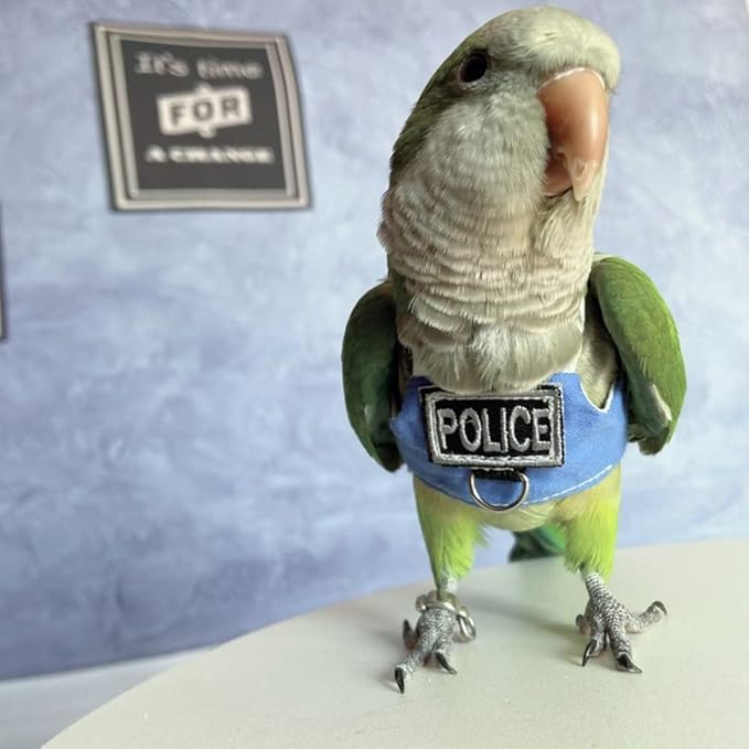 Bird Flight Harness Vest, Parrot Flight Suit with Leash, Bird Flying Clothes with Rope and Handle for Outdoor Activities (with Leash,Senegal)