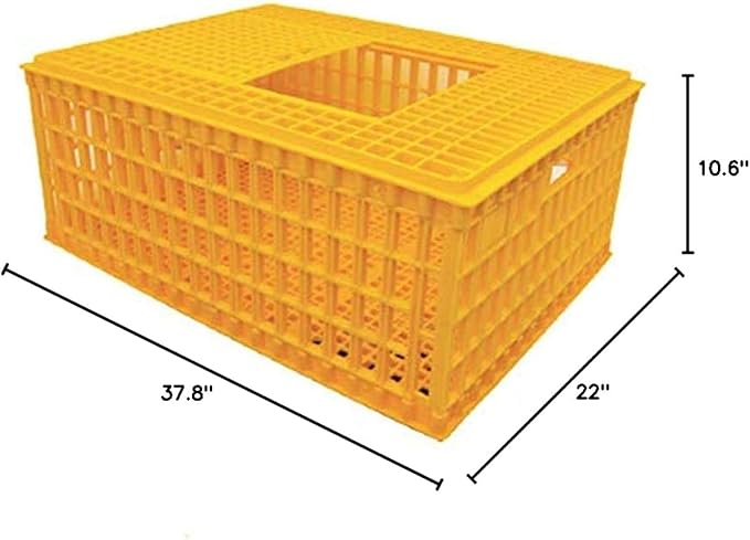 Economy Transport Coop 30.3" X 21.7" X 13"