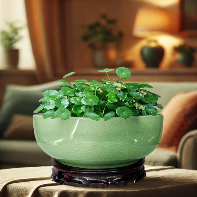 MUZHI Green Ceramic Water Lotus Flower Bowl Planter with Solid Wood Tray, Elegant Hole-Free Ice Crack Hydroponic Water Lily Bowl Pot with Stand 7.8”