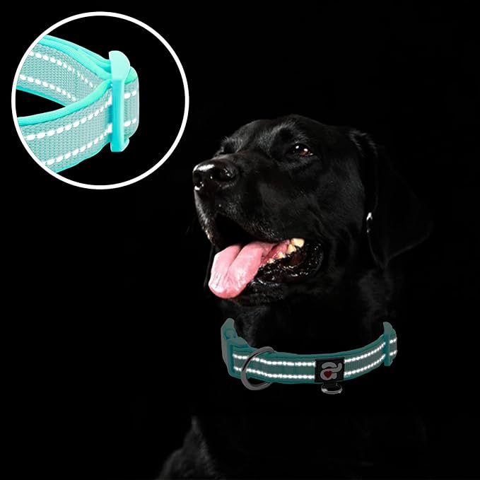 azuza Reflective Dog Collar,Soft Neoprene Padded Pet Collar with ID Tag Ring,Adjustable for Puppy and Small Dogs,Teal,XS