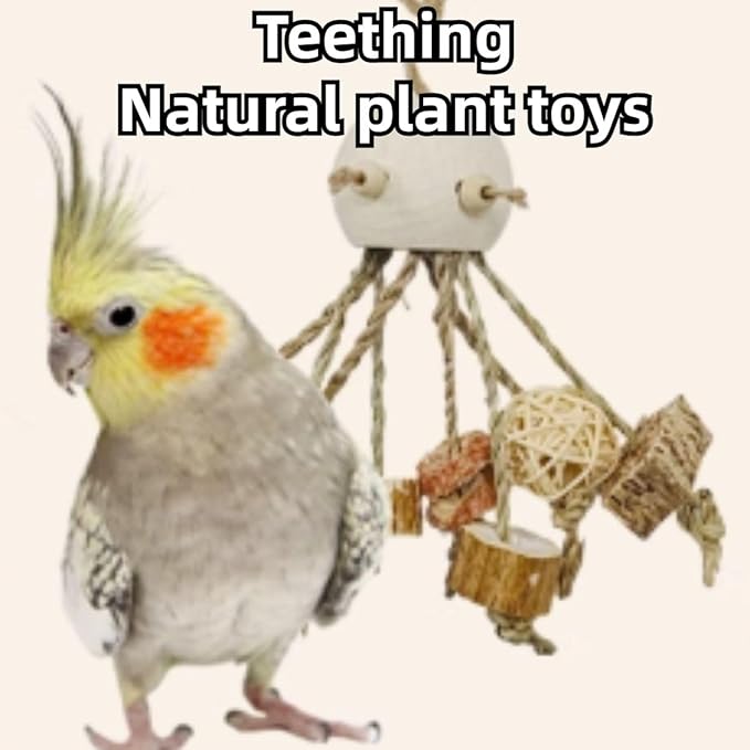 Bird Toys, Chewing for Parrot, Natural Nut Hanging for Parakeet,Lovebirds,Finch,Cockatiel, Conure, Quaker (A)