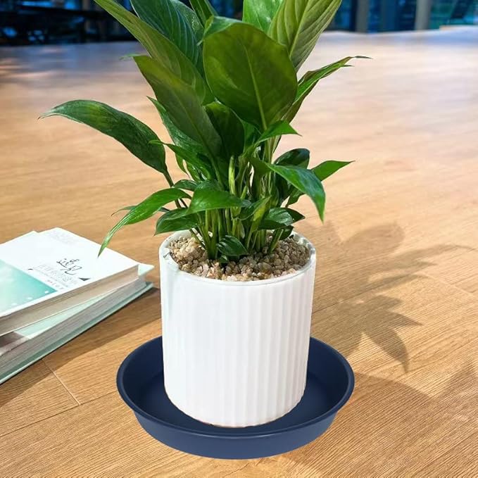 2 Pack of 8 inch Plant Saucer Clear, Heavy Duty Plastic Plant Water Tray 8 inch Round, Flower Plant Saucers for Indoors No Holes, Plant Dishes Saucer for Planter 7"/8" (8", Blue)