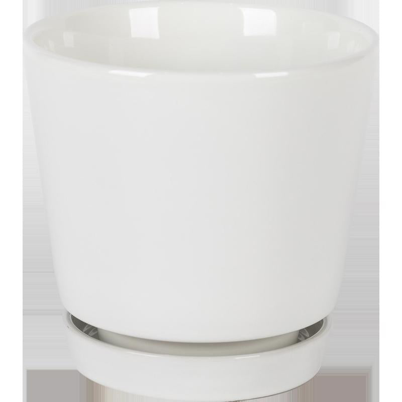 Border Concepts 10 in. D Ceramic Flair Saucer Planter White 533344