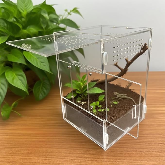 Acrylic Jumping Spider Habitat, Insect Terrarium, for Spiders, Tarantulas, Snail, Mantis, Lizard, and Small Reptiles, with Two Magnetic Doors and one Feeding Trough (6x6x9 inch)
