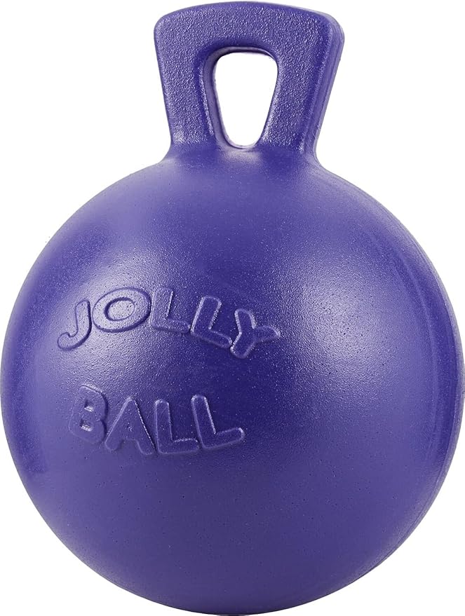 Jolly Pets Tug-n-Toss Heavy Duty Dog Toy Ball with Handle, 4 Inches/Petite, Purple (404 PR)
