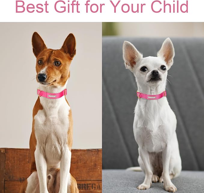Nylon Dog Collar - Adjustable Rose Red Soft Webbing Dog Collars for Small Medium Large Dogs Boy Girl Puppy Collar with Safety Metal Buckle L